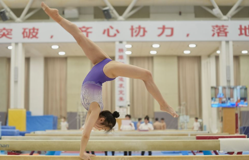 华体会体育app苹果版优缺点分析
